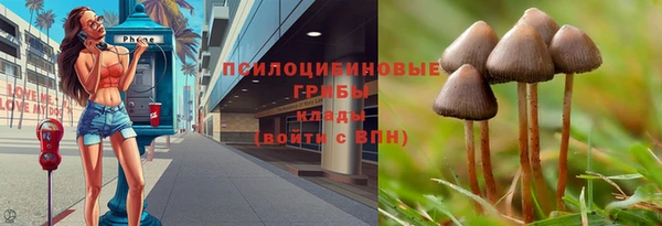 COCAINE Медвежьегорск