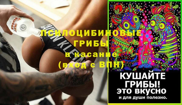 твердый Медногорск